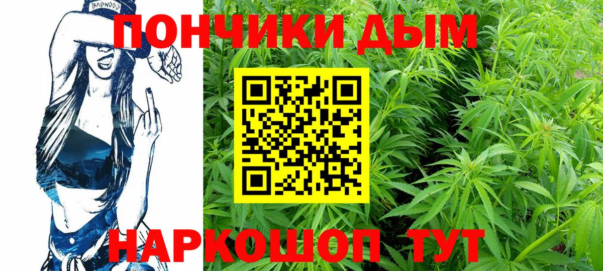Каннабис планчик Абинск
